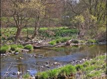 2 Flussabschnitt